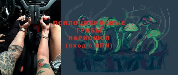 стафф Вязьма