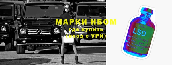 стафф Вязьма