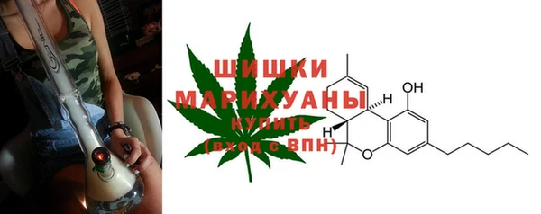 стафф Вязьма