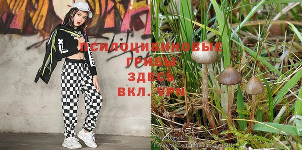 дурь Вяземский