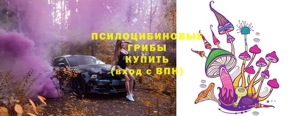 ECSTASY Вязники