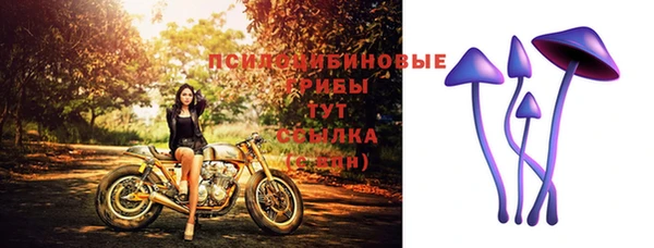 дурь Вяземский