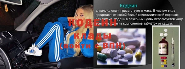 дурь Вяземский