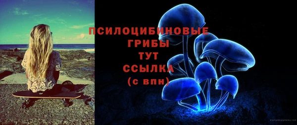 ECSTASY Вязники