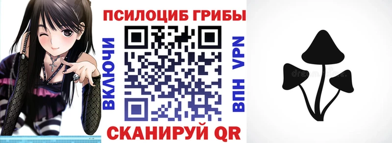 Галлюциногенные грибы Psilocybine cubensis  Купить закладки  Тобольск 